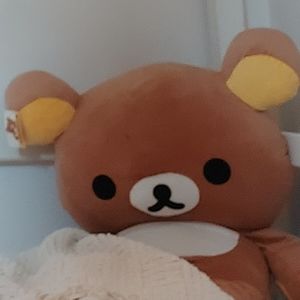 Meet your Posher, Sophia